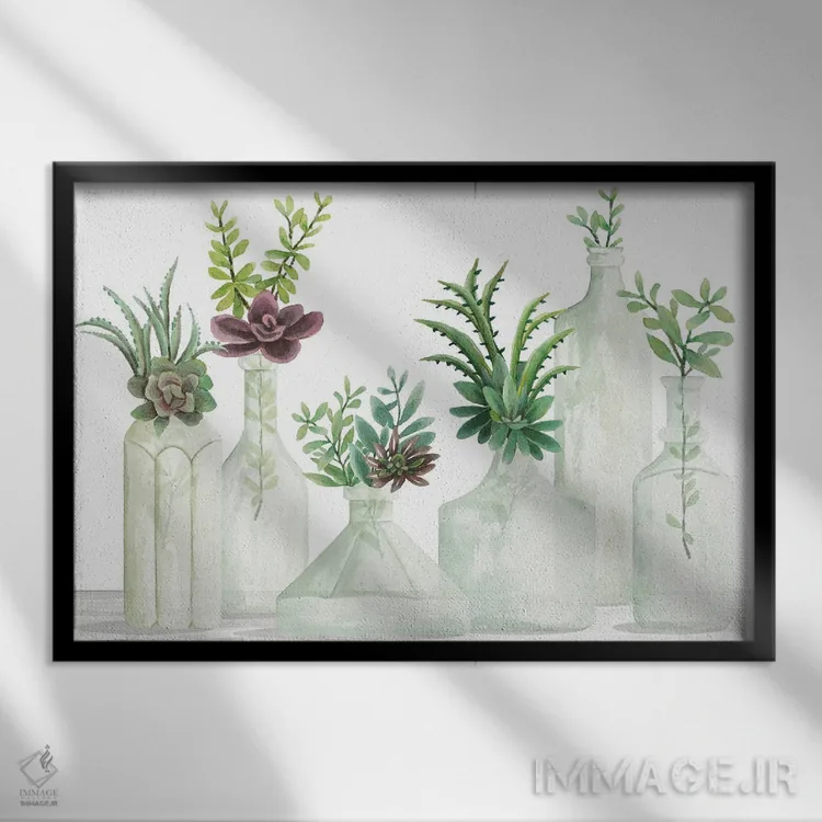 تابلو بطریهای ساکولنت (گیاهان گوشتی) اثر سیندی جیکوبز - نمای قابدار مشکی