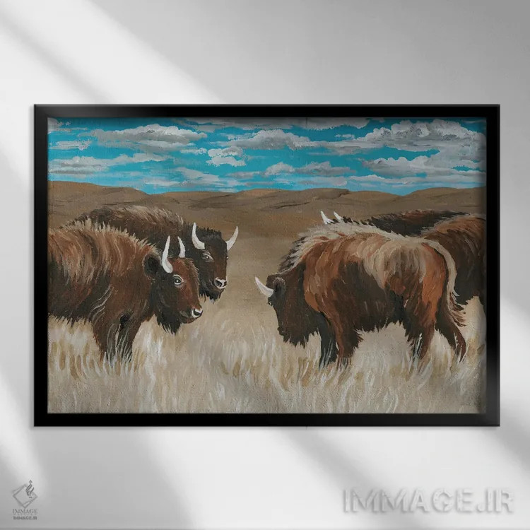 تابلو گلهٔ گاومیش آمریکایی شمارهٔ دو اثر سیندی جیکوبز - نمای قابدار مشکی