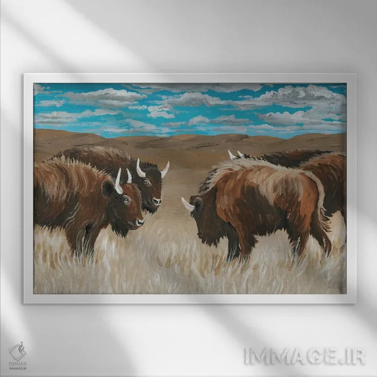 تابلو گلهٔ گاومیش آمریکایی شمارهٔ دو اثر سیندی جیکوبز - نمای قابدار سفید