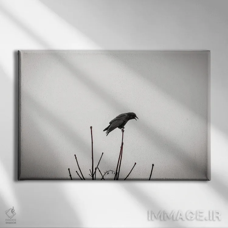 تابلو کلاغها فراموش نمیکنند اثر کت کریگن - نمای روبهرو روی دیوار