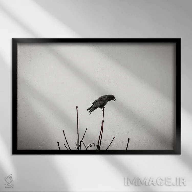 تابلو کلاغها فراموش نمیکنند اثر کت کریگن - نمای قابدار مشکی