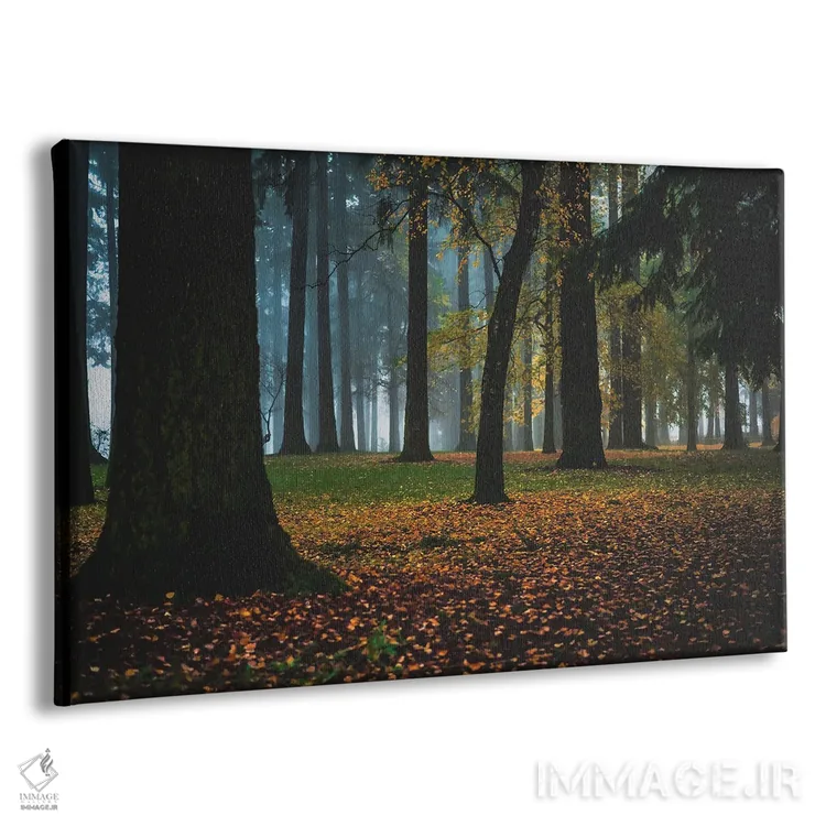 تابلو جنگل سرزمین رؤیا اثر کت کریگن - نمای پرسپکتیو محصول