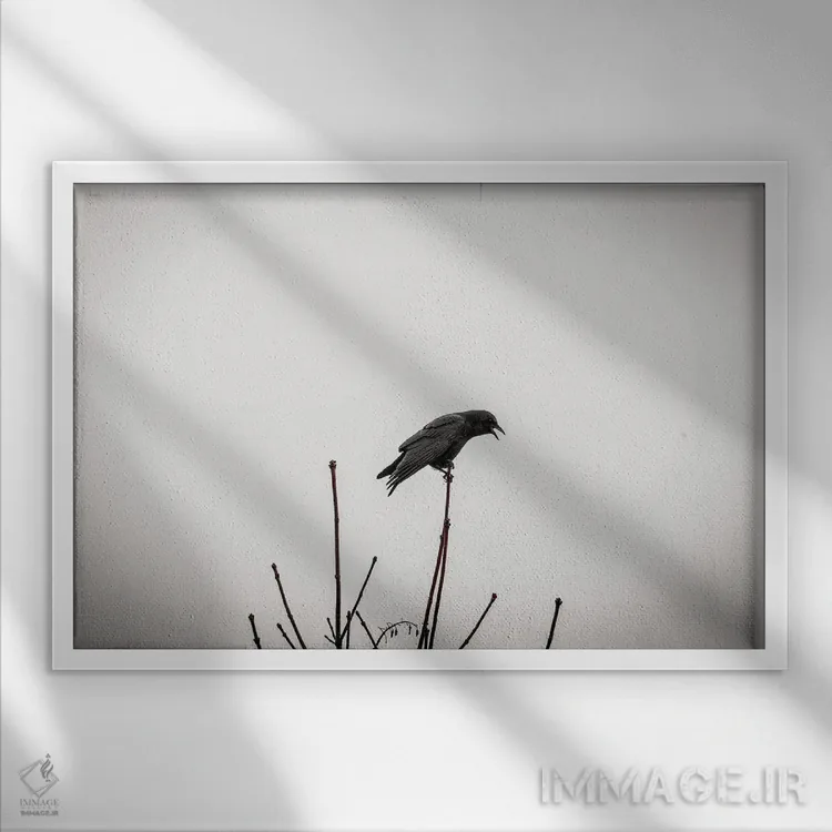تابلو کلاغها فراموش نمیکنند اثر کت کریگن - نمای قابدار سفید