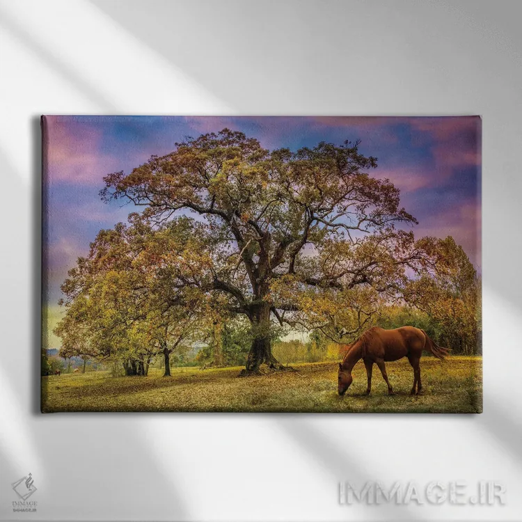 تابلو زیر سایهٔ درخت بلوط پیر اثر گالری سلبرِیت لایف (گالری هنری) - نمای روبهرو روی دیوار