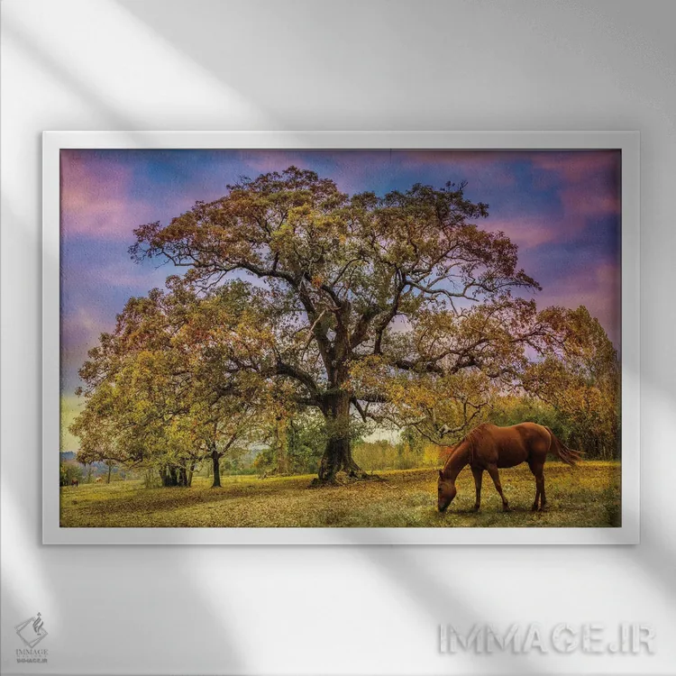 تابلو زیر سایهٔ درخت بلوط پیر اثر گالری سلبرِیت لایف (گالری هنری) - نمای قابدار سفید