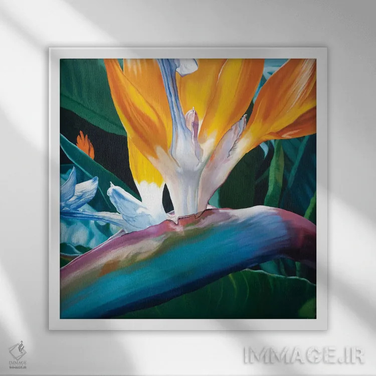 تابلو پرنده بهشتی اثر کلویی هدن - نمای قابدار سفید