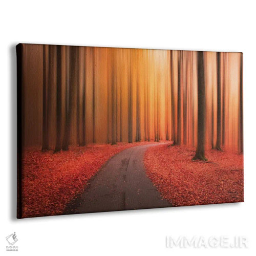 تابلو راهی به سوی ناشناخته اثر کریستین لیندستن - نمای پرسپکتیو محصول