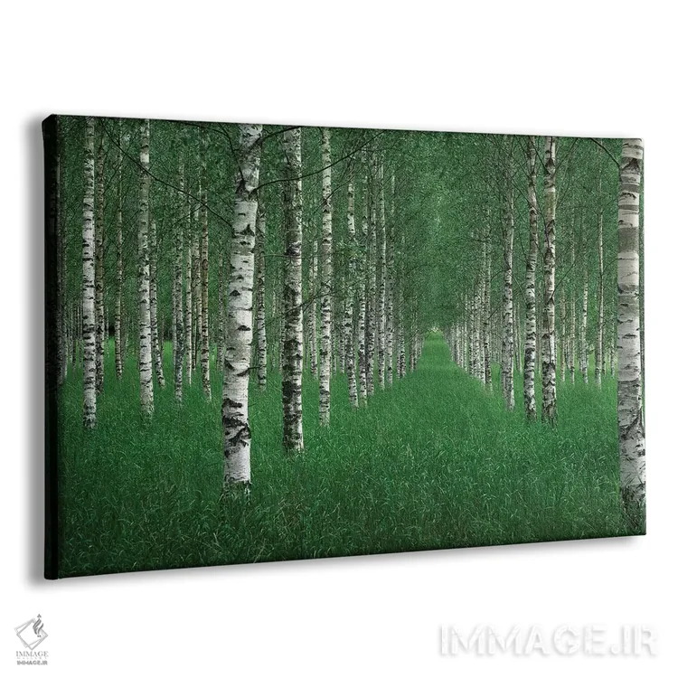 تابلو تونل اثر کریستین لیندستن - نمای پرسپکتیو محصول