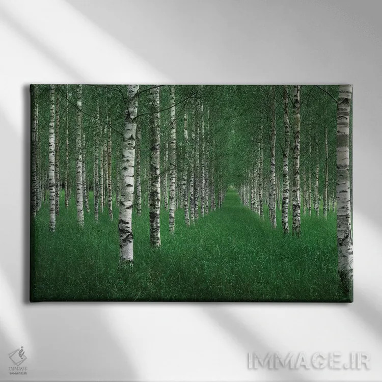 تابلو تونل اثر کریستین لیندستن - نمای روبهرو روی دیوار