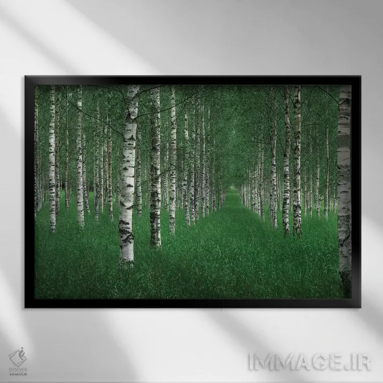 تابلو تونل اثر کریستین لیندستن - نمای قابدار مشکی