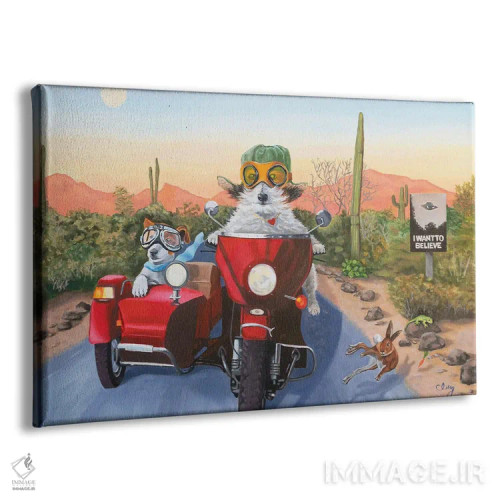 تابلو سایدکارسواری در آریزونا اثر کارول لوز - نمای پرسپکتیو محصول