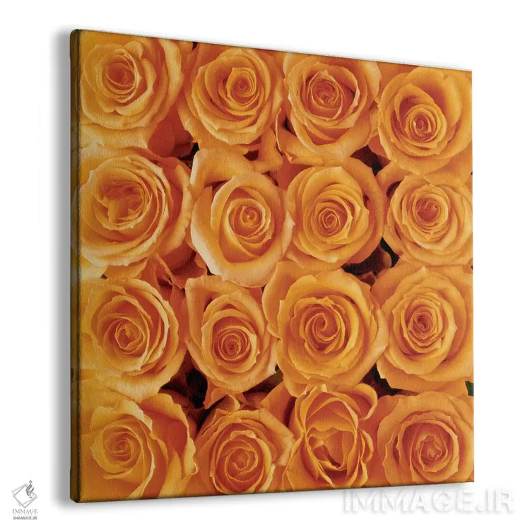 تابلو آفرینش رز نارنجی اثر کریتیف مت بلومن (گلآرایی هنری هلندی) - نمای پرسپکتیو محصول