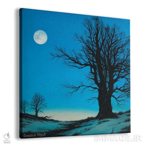 تابلو منظرهٔ قمری اثر کمبل فراست - نمای پرسپکتیو محصول