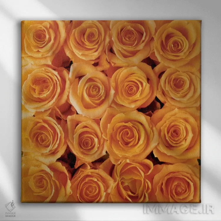 تابلو آفرینش رز نارنجی اثر کریتیف مت بلومن (گلآرایی هنری هلندی) - نمای روبهرو روی دیوار