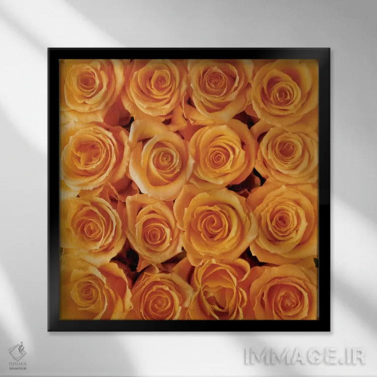 تابلو آفرینش رز نارنجی اثر کریتیف مت بلومن (گلآرایی هنری هلندی) - نمای قابدار مشکی