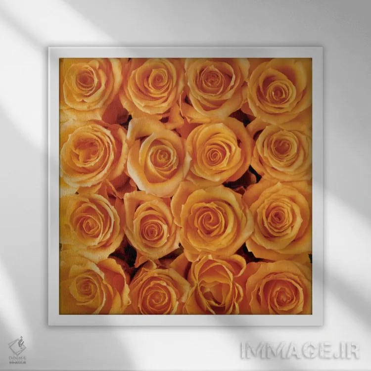 تابلو آفرینش رز نارنجی اثر کریتیف مت بلومن (گلآرایی هنری هلندی) - نمای قابدار سفید