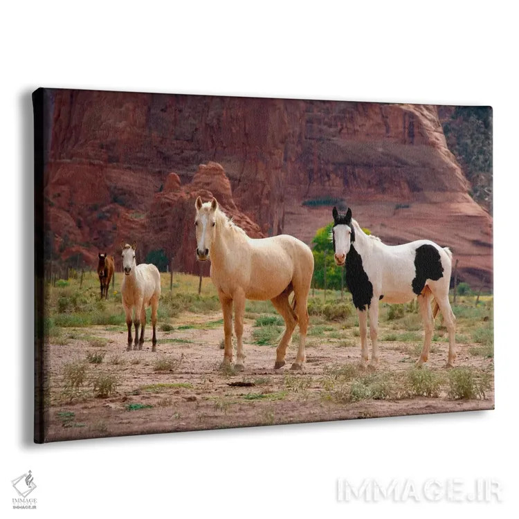 تابلو اسبهای وحشی ناواهو، کنیون دل موئرتو، یادمان ملی کنیون د شی، ملت ناواهو، شهرستان آپاچی، آریزونا، آمریکا اثر سیندی میلر هاپکینز - نمای پرسپکتیو محصول