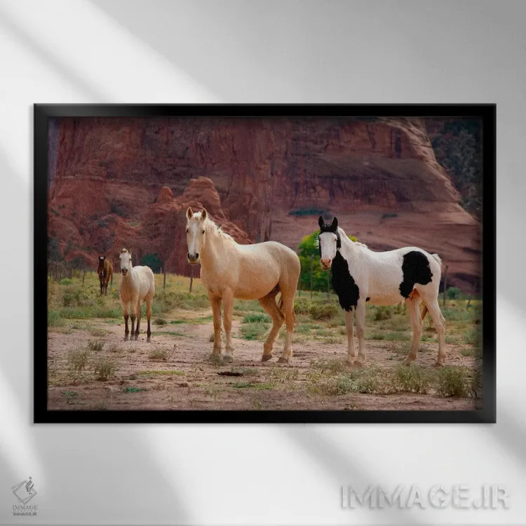 تابلو اسبهای وحشی ناواهو، کنیون دل موئرتو، یادمان ملی کنیون د شی، ملت ناواهو، شهرستان آپاچی، آریزونا، آمریکا اثر سیندی میلر هاپکینز - نمای قابدار مشکی