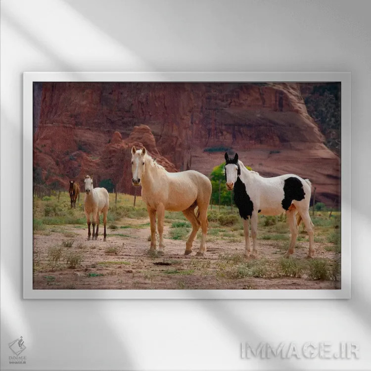 تابلو اسبهای وحشی ناواهو، کنیون دل موئرتو، یادمان ملی کنیون د شی، ملت ناواهو، شهرستان آپاچی، آریزونا، آمریکا اثر سیندی میلر هاپکینز - نمای قابدار سفید