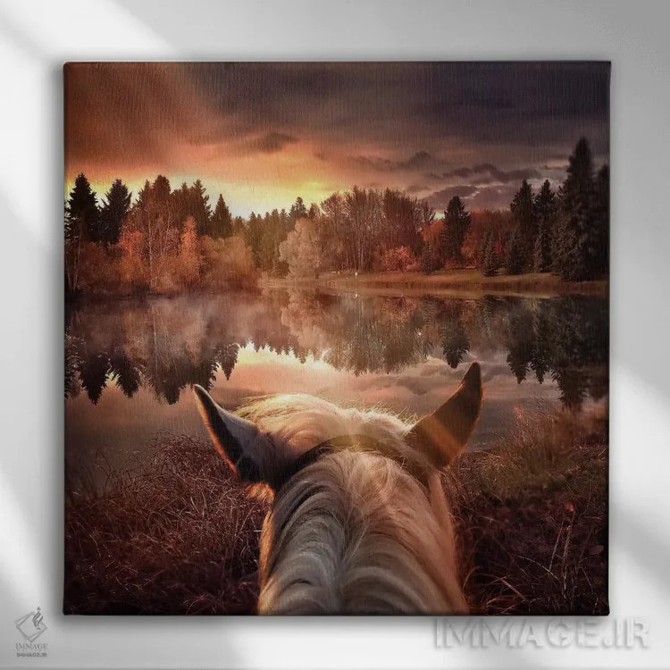 تابلو سفر طولانی و تنها اثر کلودیا مککینی - نمای روبهرو روی دیوار