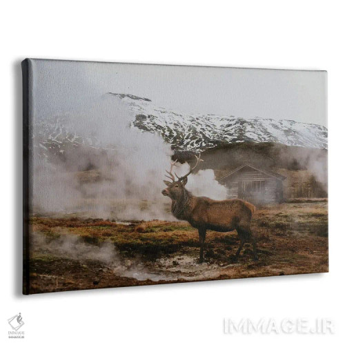 تابلو رفتن به آلاسکا اثر کلودیا مککینی - نمای پرسپکتیو محصول