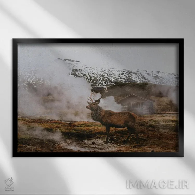 تابلو رفتن به آلاسکا اثر کلودیا مککینی - نمای قابدار مشکی