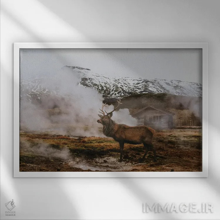 تابلو رفتن به آلاسکا اثر کلودیا مککینی - نمای قابدار سفید