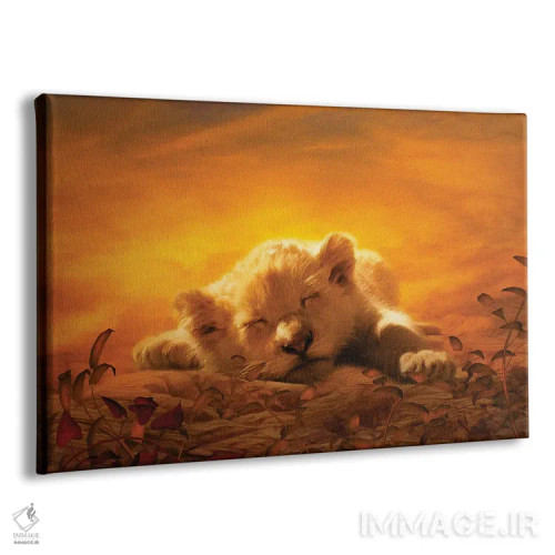 تابلو توله شیر در حال خواب اثر کلودیا مککینی - نمای پرسپکتیو محصول