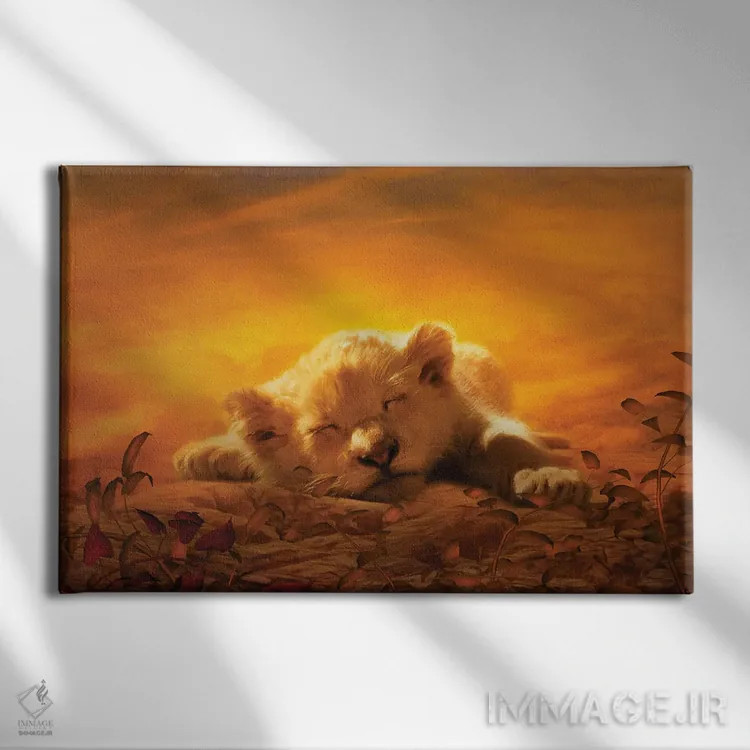 تابلو توله شیر در حال خواب اثر کلودیا مککینی - نمای روبهرو روی دیوار