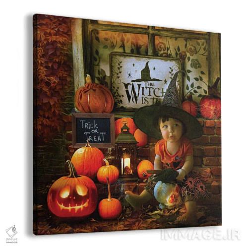 تابلو جادوگر کوچولو در حال آموزش اثر کلودیا مککینی - نمای پرسپکتیو محصول