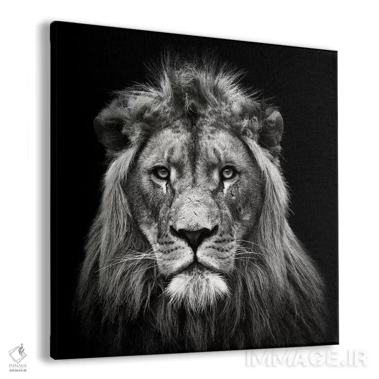 تابلو شیر نر جوان اثر کریستین مِرمان - نمای پرسپکتیو محصول