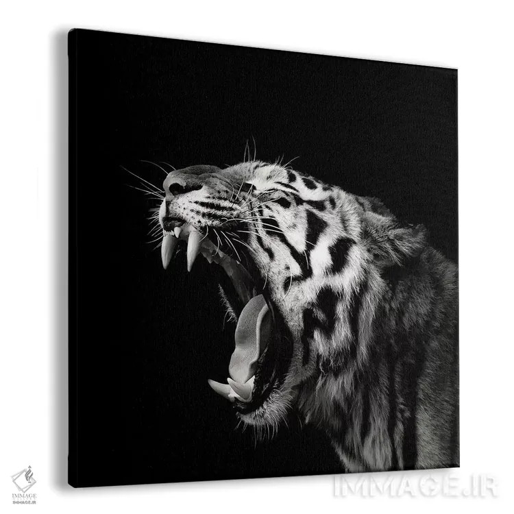 تابلو خمیازه نخستین چهارم اثر کریستین مِرمان - نمای پرسپکتیو محصول