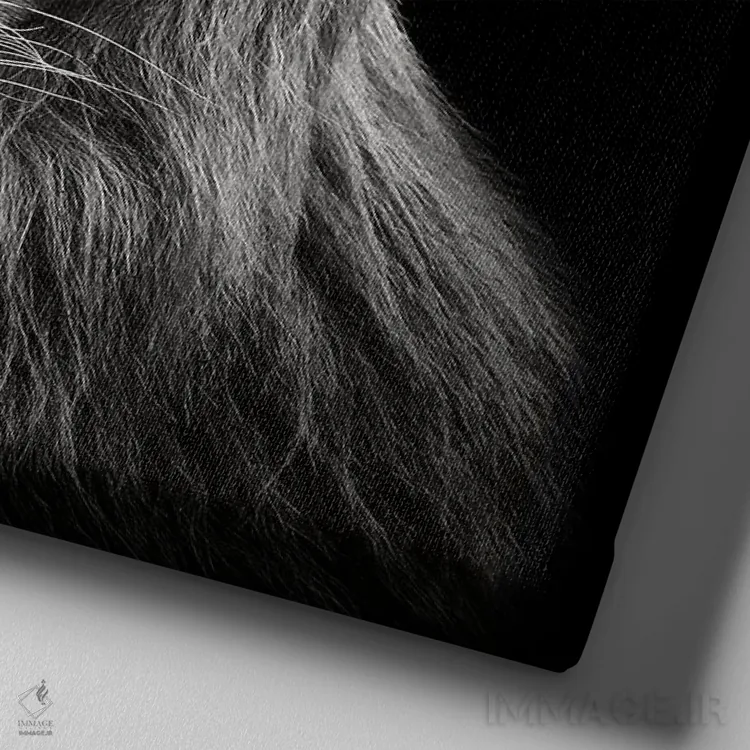 تابلو شیر نر جوان اثر کریستین مِرمان - نمای نزدیک بافت بوم