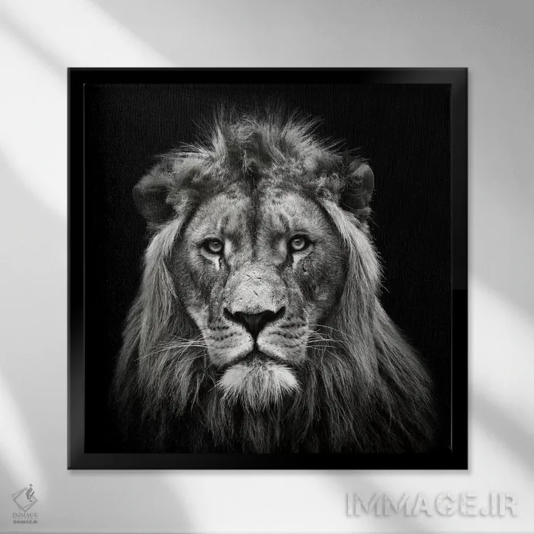 تابلو شیر نر جوان اثر کریستین مِرمان - نمای قابدار مشکی