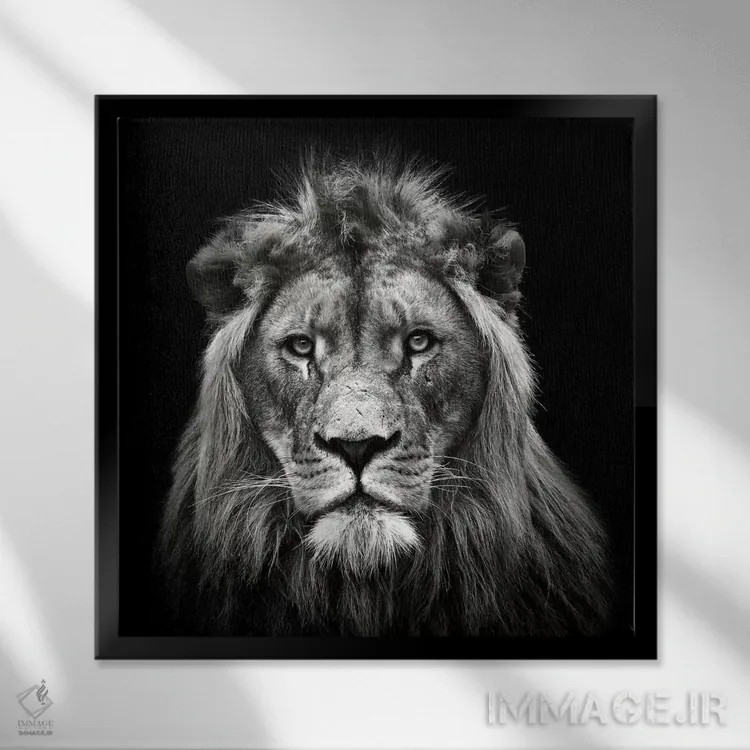 تابلو شیر نر جوان اثر کریستین مِرمان - نمای قابدار مشکی