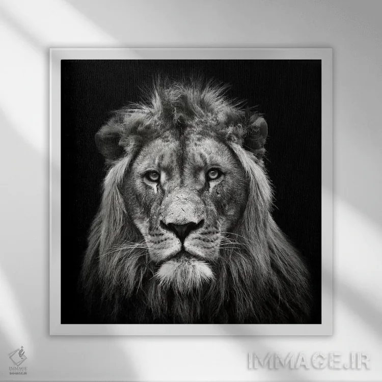 تابلو شیر نر جوان اثر کریستین مِرمان - نمای قابدار سفید