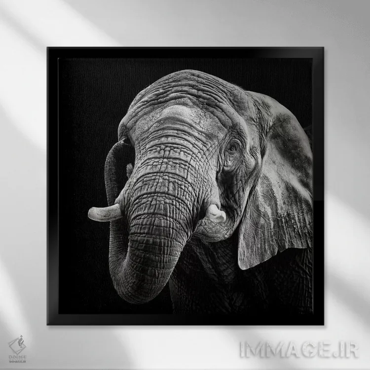 تابلو فیل آفریقایی اثر کریستین مِرمان - نمای قابدار مشکی