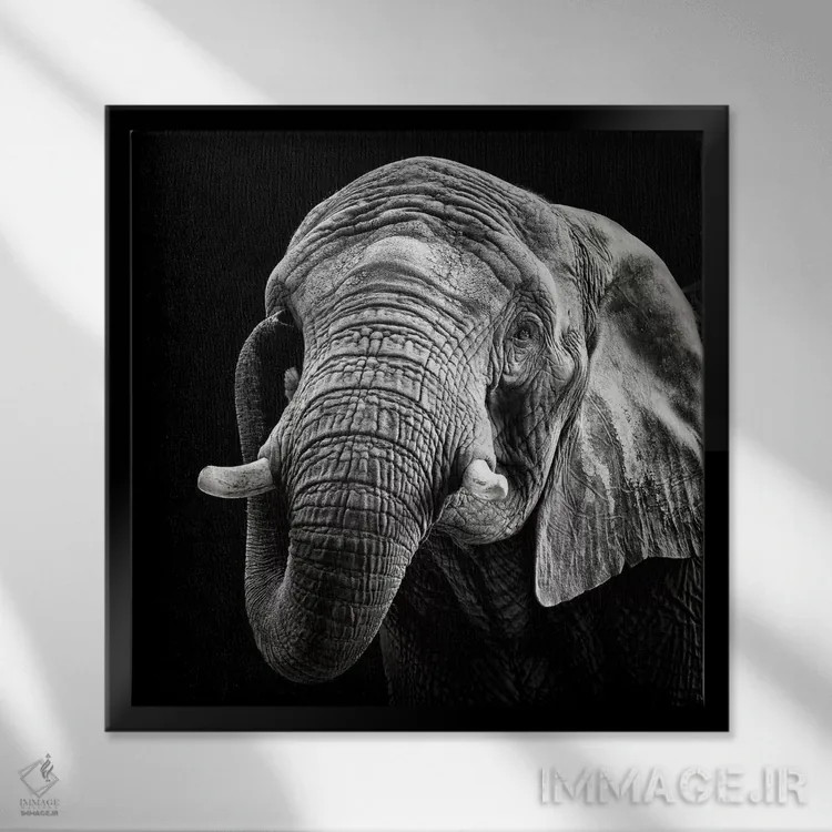 تابلو فیل آفریقایی اثر کریستین مِرمان - نمای قابدار مشکی
