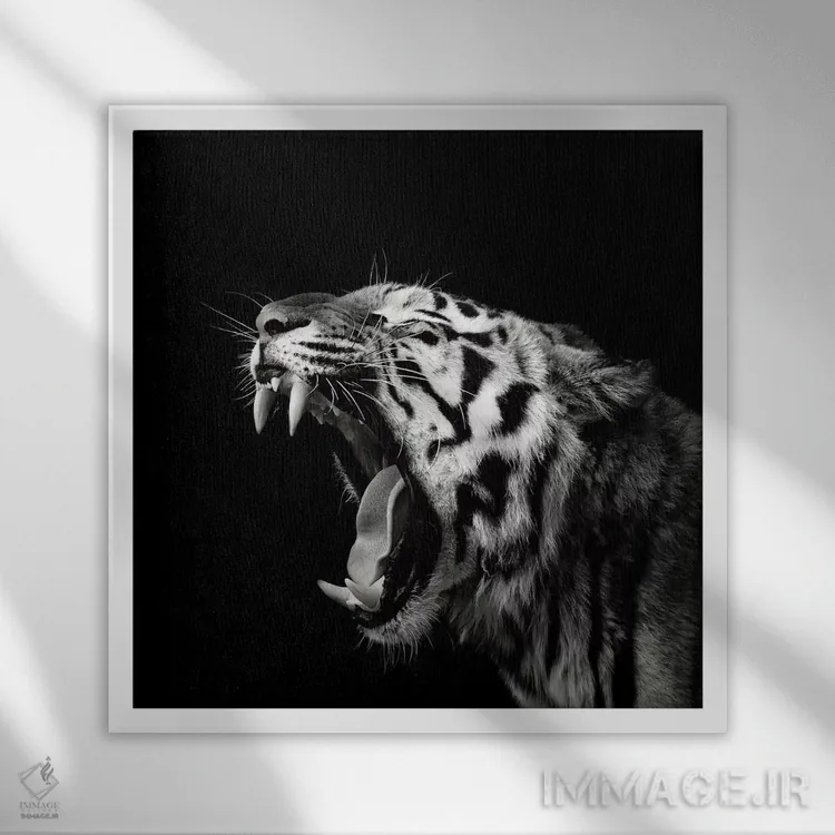 تابلو خمیازه نخستین چهارم اثر کریستین مِرمان - نمای قابدار سفید