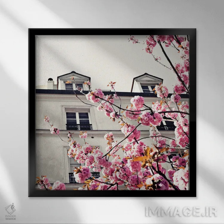 تابلو گیلاسهای پاریس دوم اثر کارولین مینت - نمای قابدار مشکی