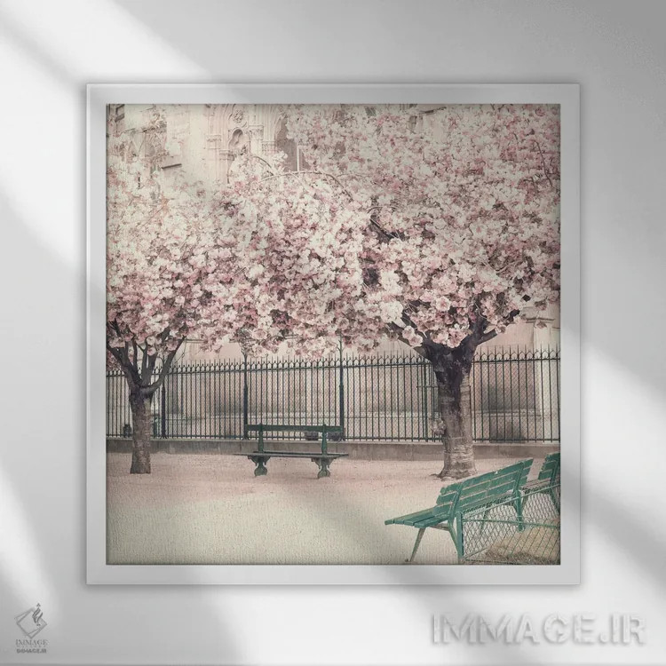 تابلو گیلاسهای پاریس اثر کارولین مینت - نمای قابدار سفید