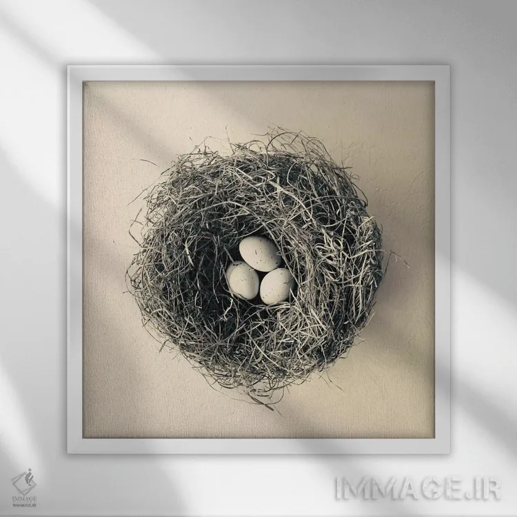 تابلو بهار آمده است اثر کارولین مینت - نمای قابدار سفید