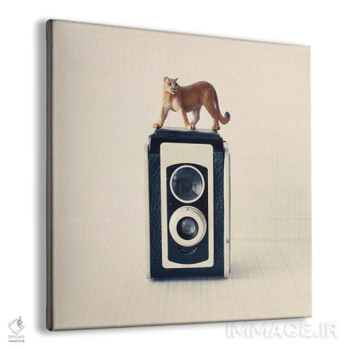 تابلو دوربین رفلکس اثر کارولین مینت - نمای پرسپکتیو محصول