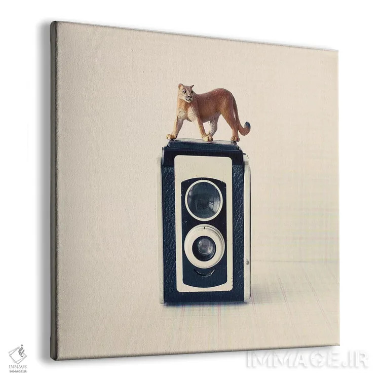 تابلو دوربین رفلکس اثر کارولین مینت - نمای پرسپکتیو محصول