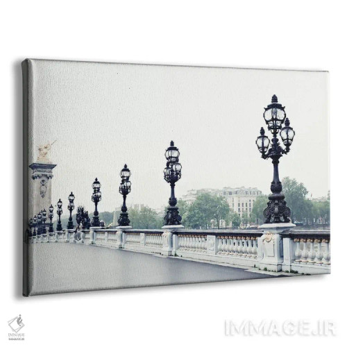 تابلو پل الکساندر سوم (پاریس) اثر کارولین مینت - نمای پرسپکتیو محصول