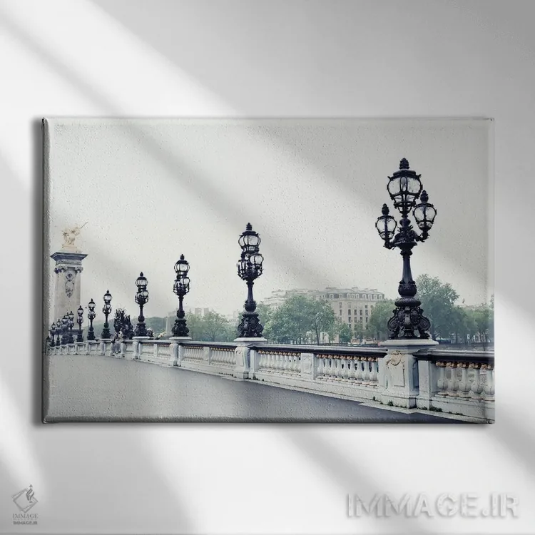 تابلو پل الکساندر سوم (پاریس) اثر کارولین مینت - نمای روبهرو روی دیوار