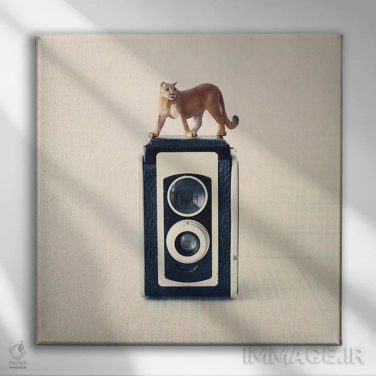 تابلو دوربین رفلکس اثر کارولین مینت - نمای روبهرو روی دیوار