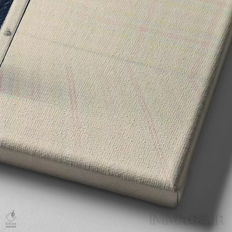 تابلو دوربین رفلکس اثر کارولین مینت - نمای نزدیک بافت بوم