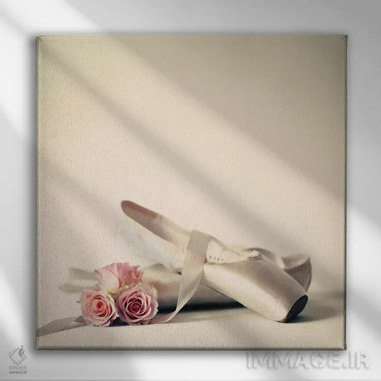 تابلو کفشهای باله اثر کارولین مینت - نمای روبهرو روی دیوار