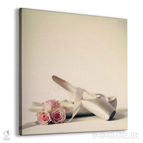 تابلو کفشهای باله اثر کارولین مینت - نمای پرسپکتیو محصول